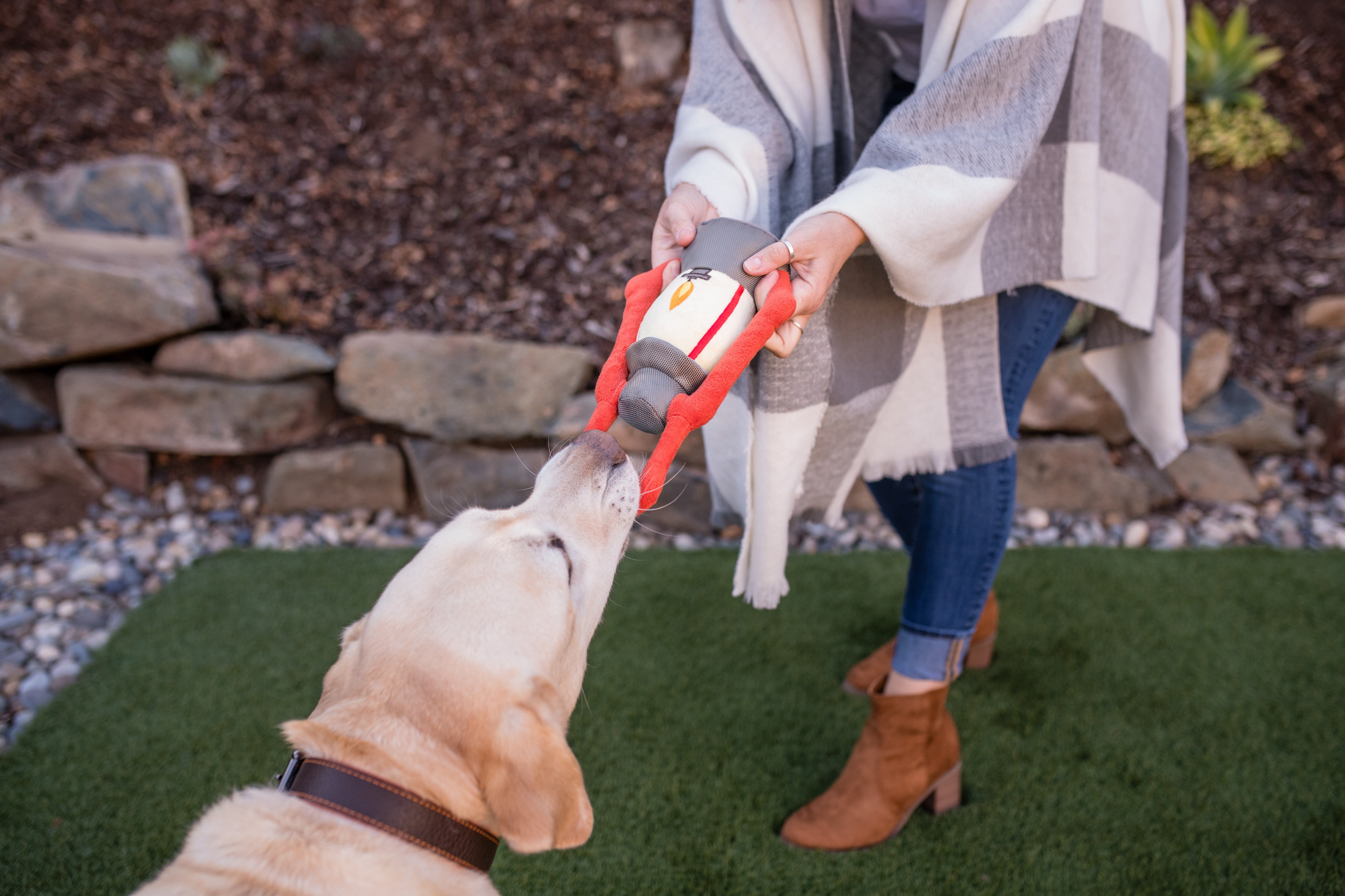 La Linterna - Juguete de Peluche para Perros Camp Corbin™ | Pet P.L.A.Y.