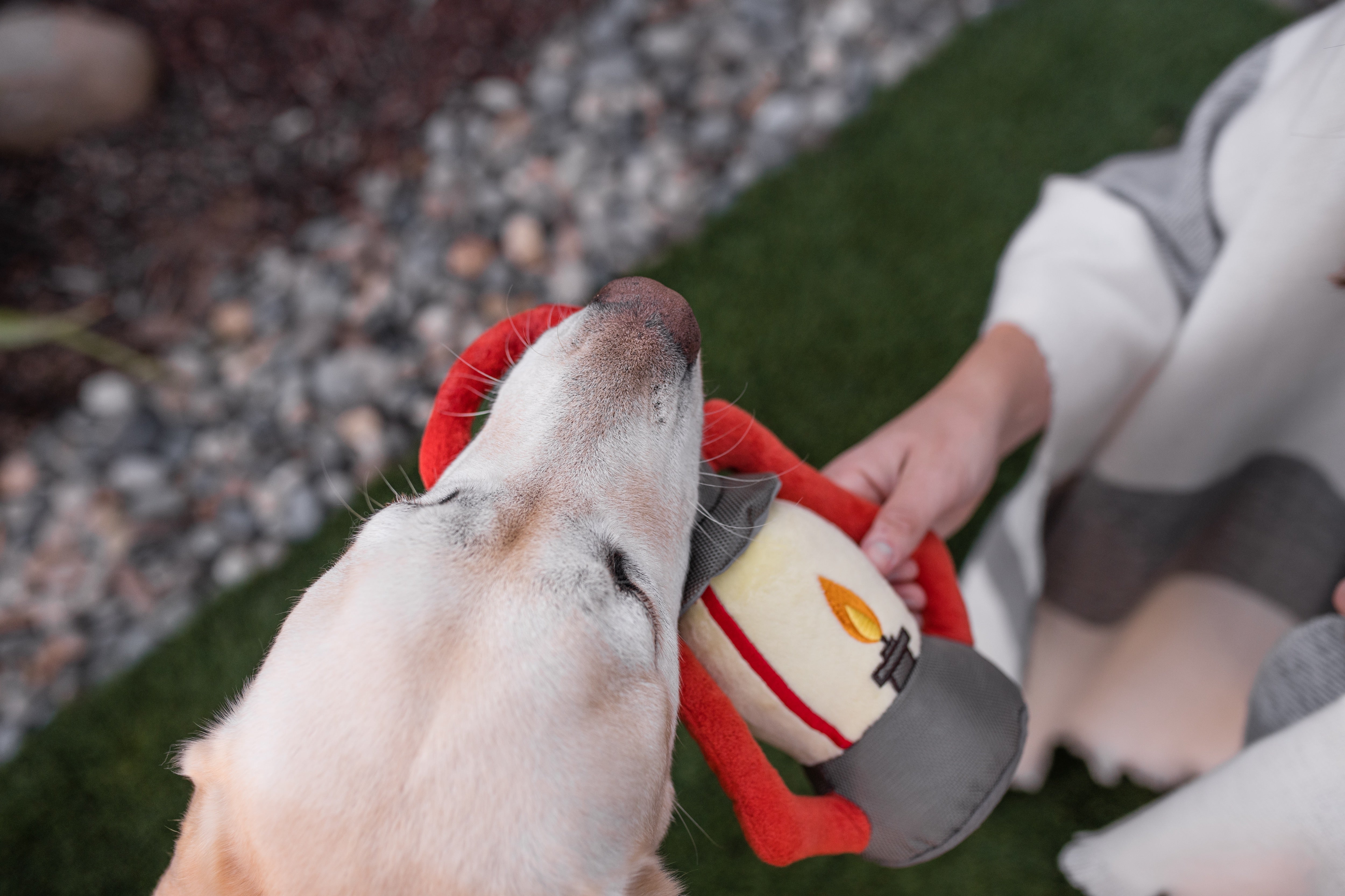 La Linterna - Juguete de Peluche para Perros Camp Corbin™ | Pet P.L.A.Y.