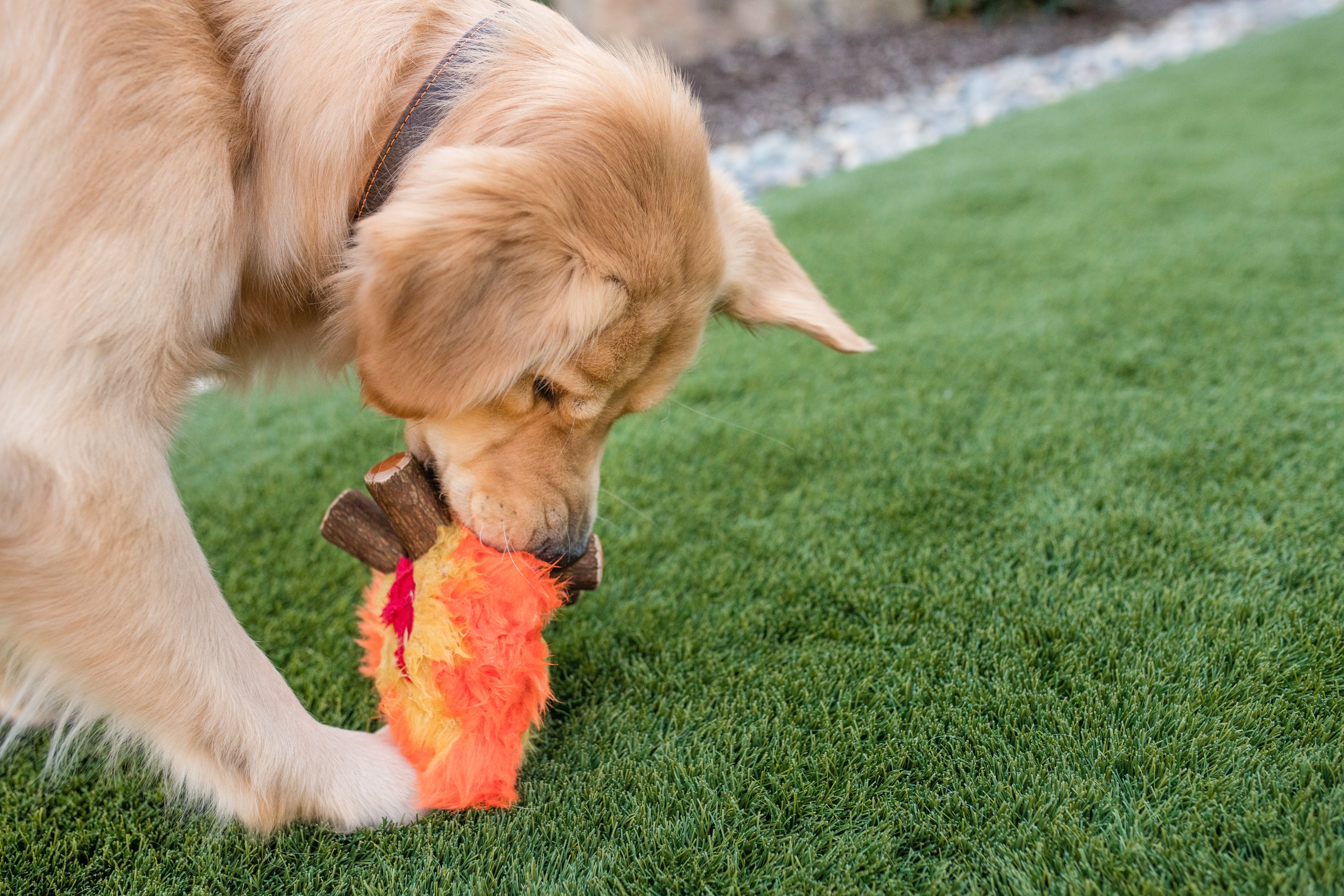 La Fogata - Juguete de Peluche para Perros Camp Corbin™ | Pet P.L.A.Y.