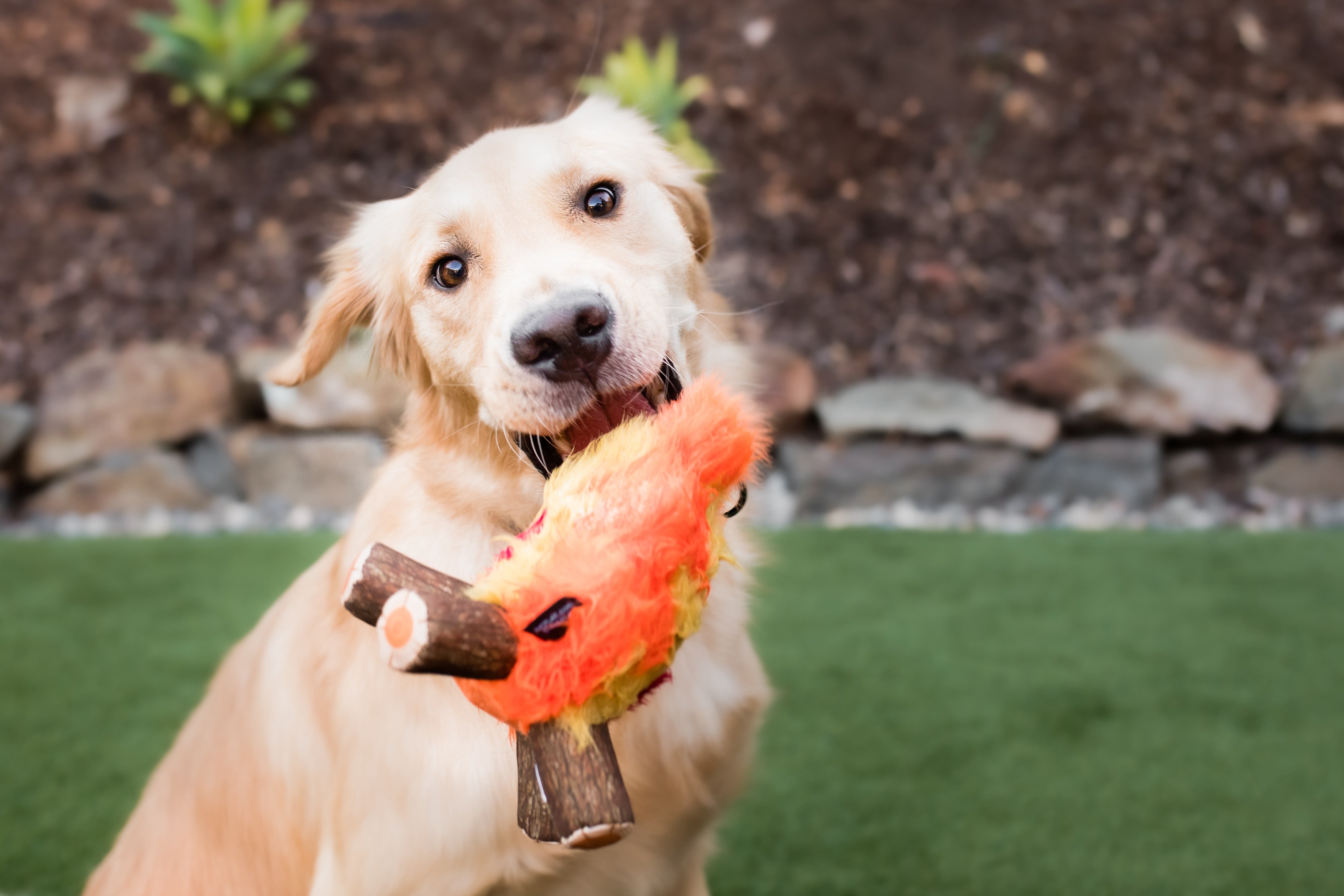 La Fogata - Juguete de Peluche para Perros Camp Corbin™ | Pet P.L.A.Y.