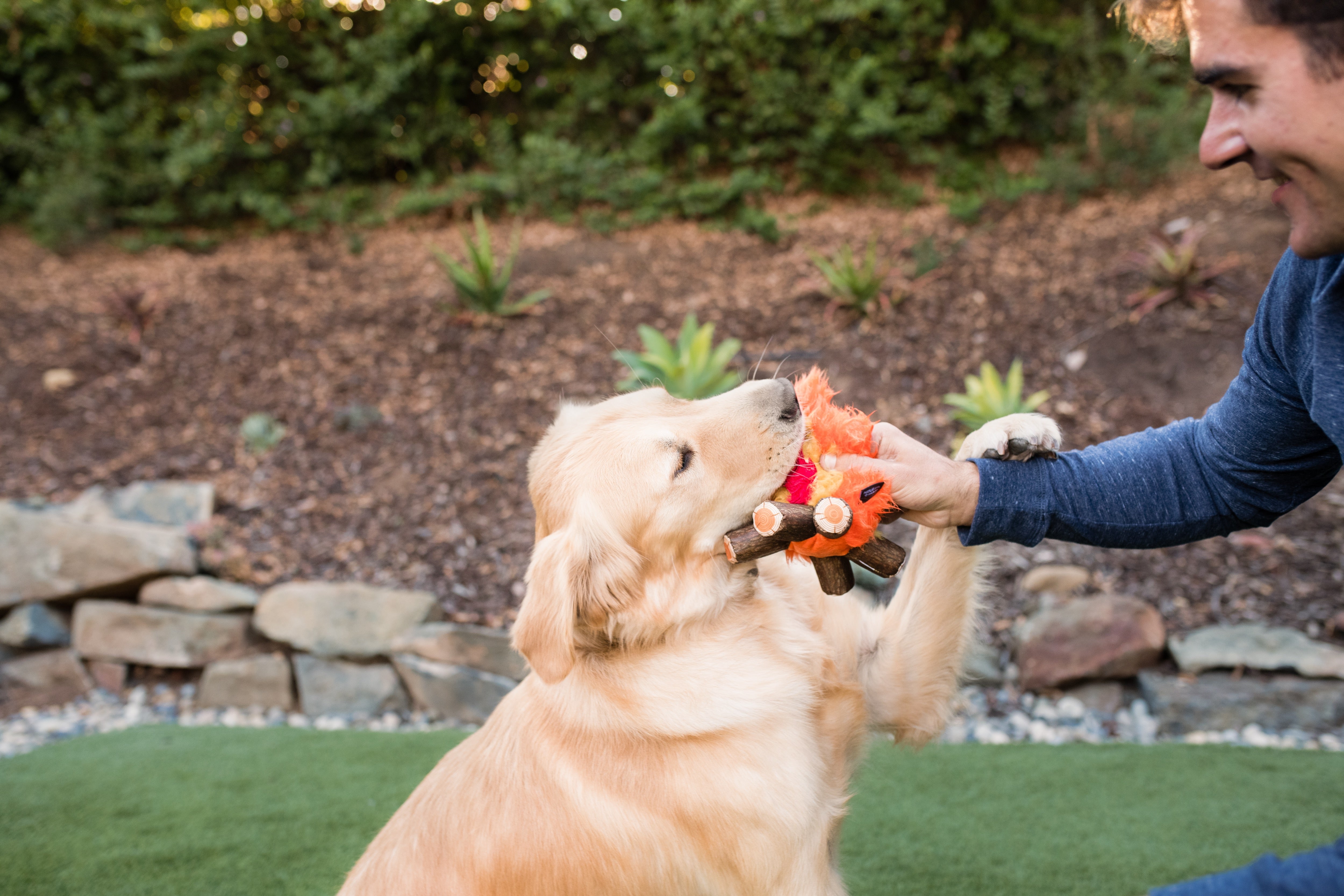 La Fogata - Juguete de Peluche para Perros Camp Corbin™ | Pet P.L.A.Y.