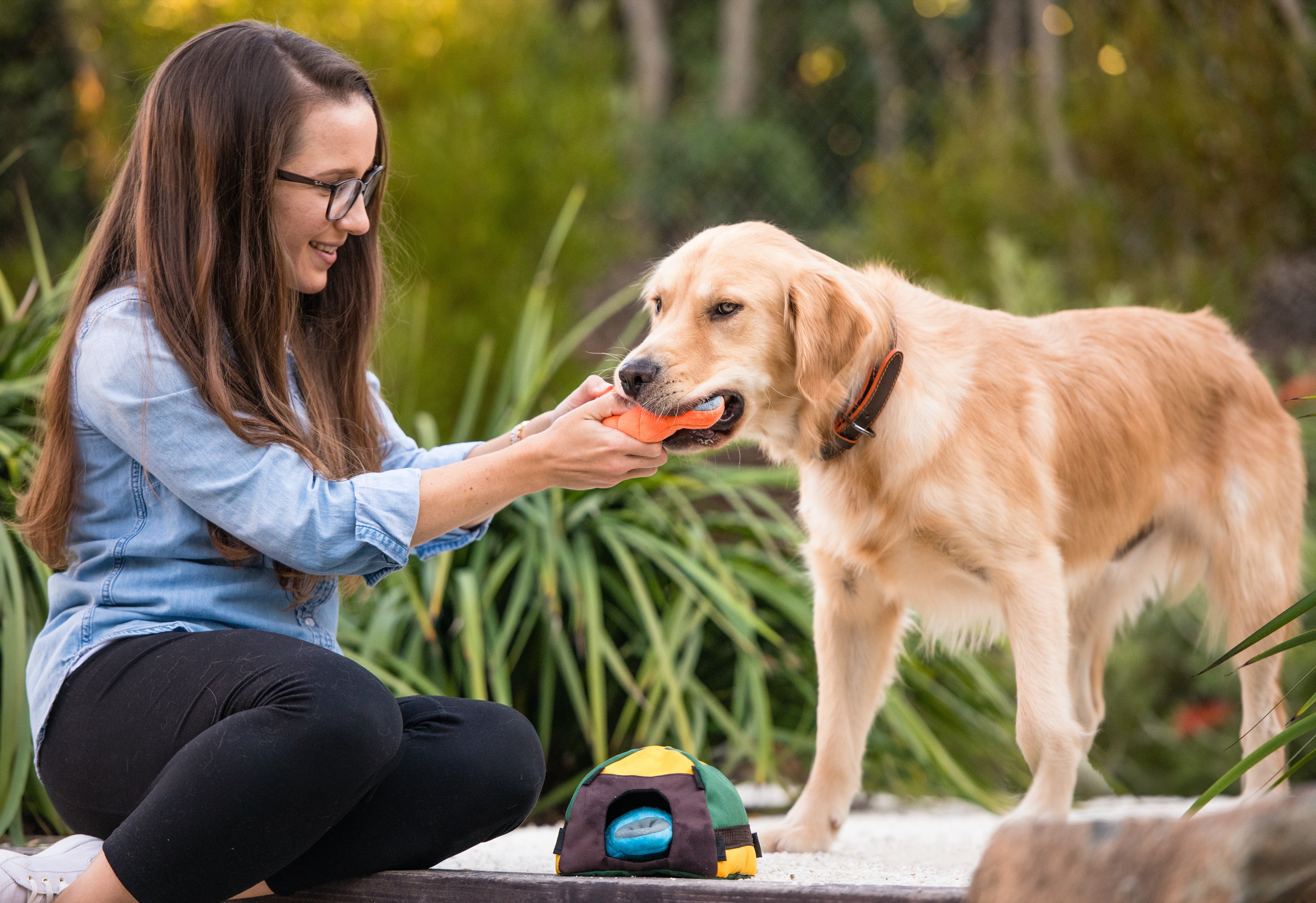 La Tienda de Campaña - Juguete de Peluche para Perros Camp Corbin™ | Pet P.L.A.Y.