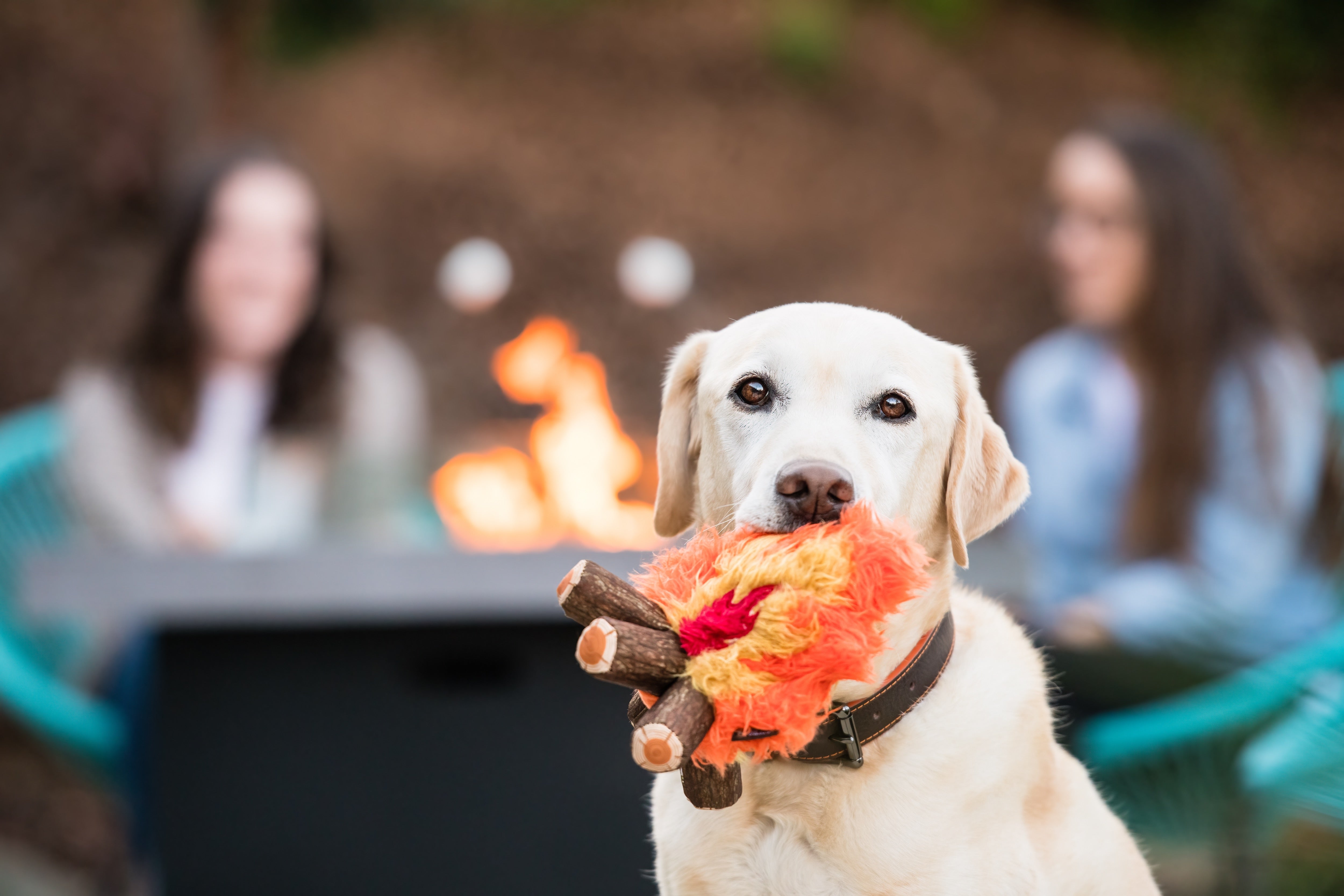 La Fogata - Juguete de Peluche para Perros Camp Corbin™ | Pet P.L.A.Y.