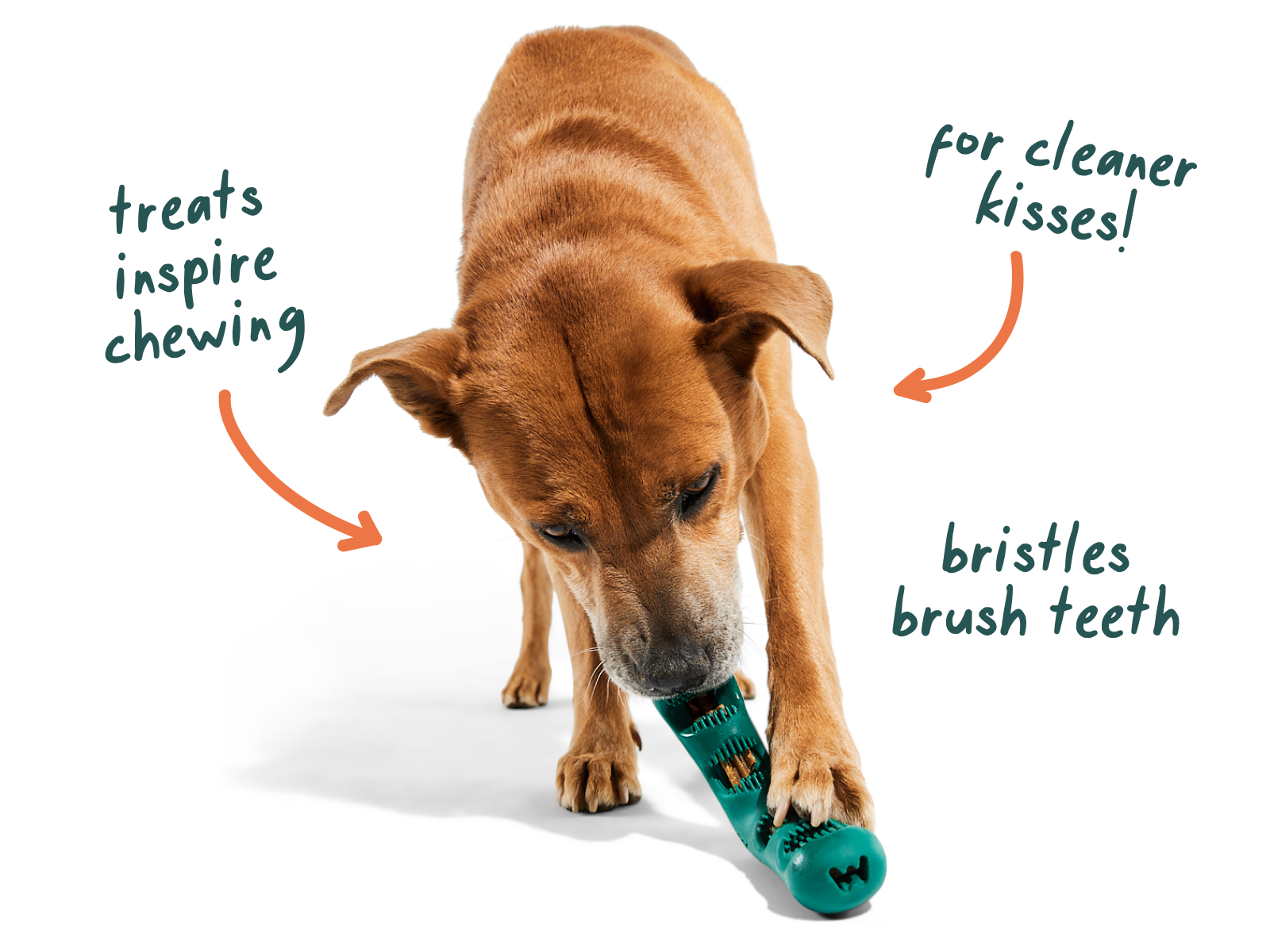 Bite n’ Brush Refills para Perros | Limpieza Dental Natural con Cada Mordida de Woof