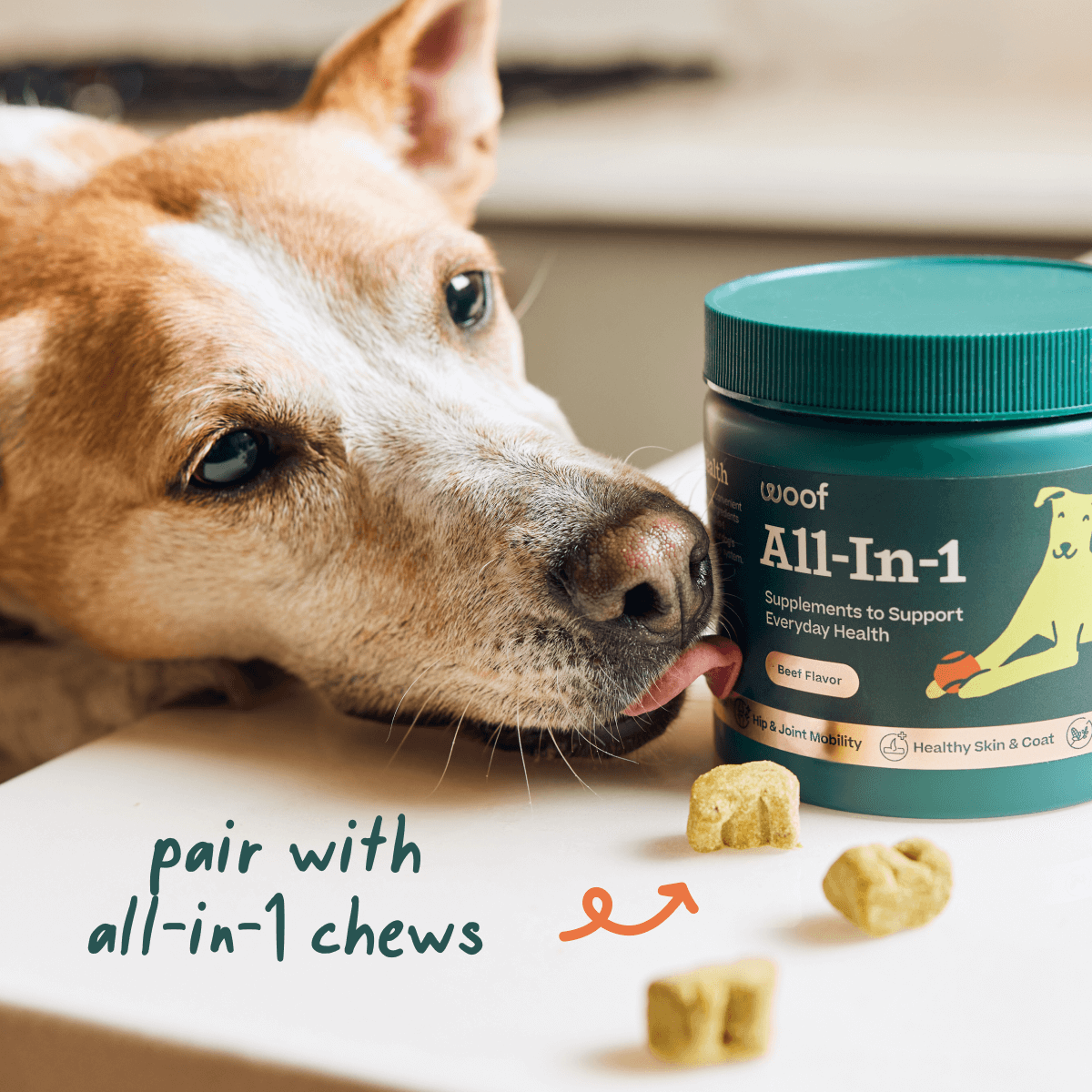 All-in-1 Wellness Pops para Perros | Suplemento Completo y Saludable My Woof