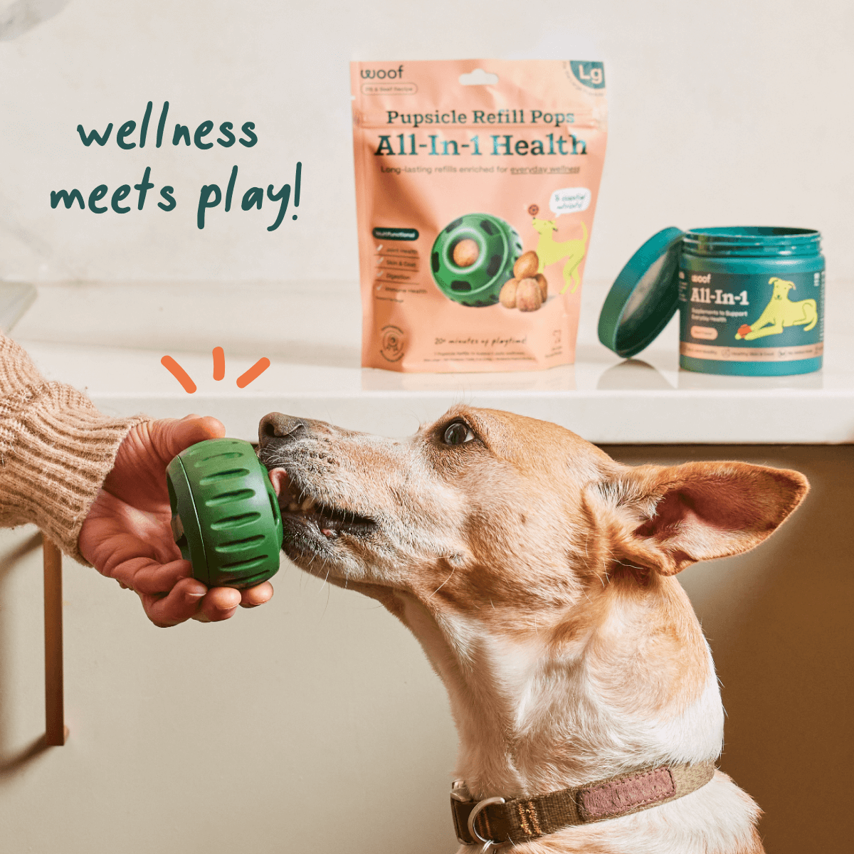 All-in-1 Wellness Pops para Perros | Suplemento Completo y Saludable My Woof