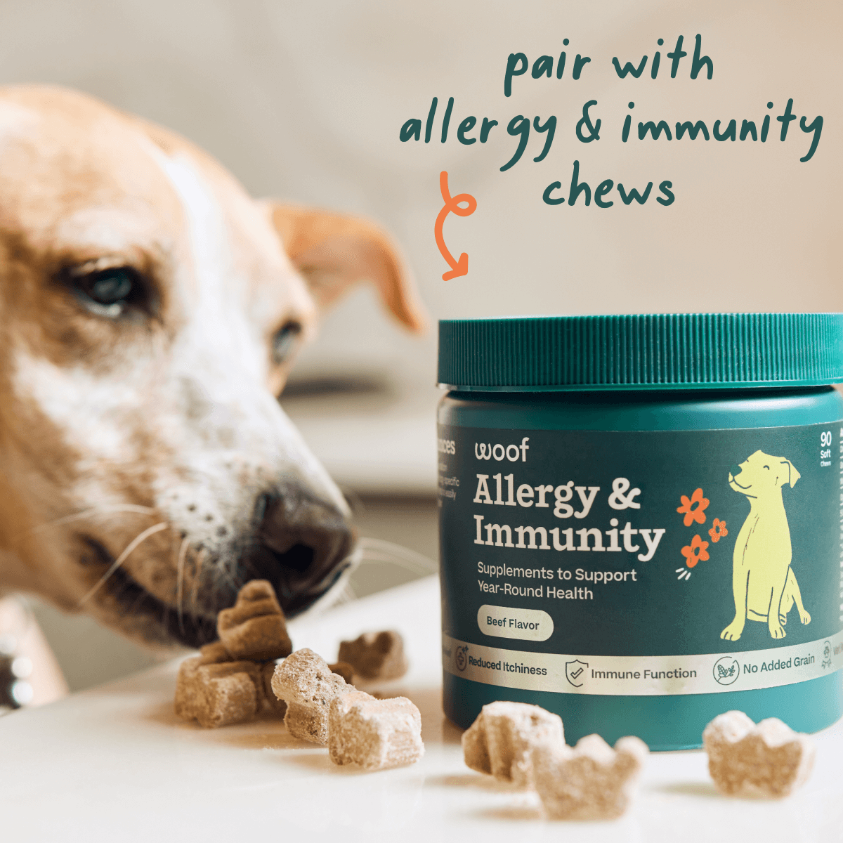 Allergy & Immunity Pops para Perros | Refuerzo Inmunológico de Woof