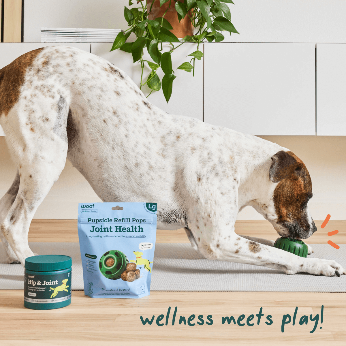 Joint Health Pops para Perros | Salud Articular para Perros de Woof