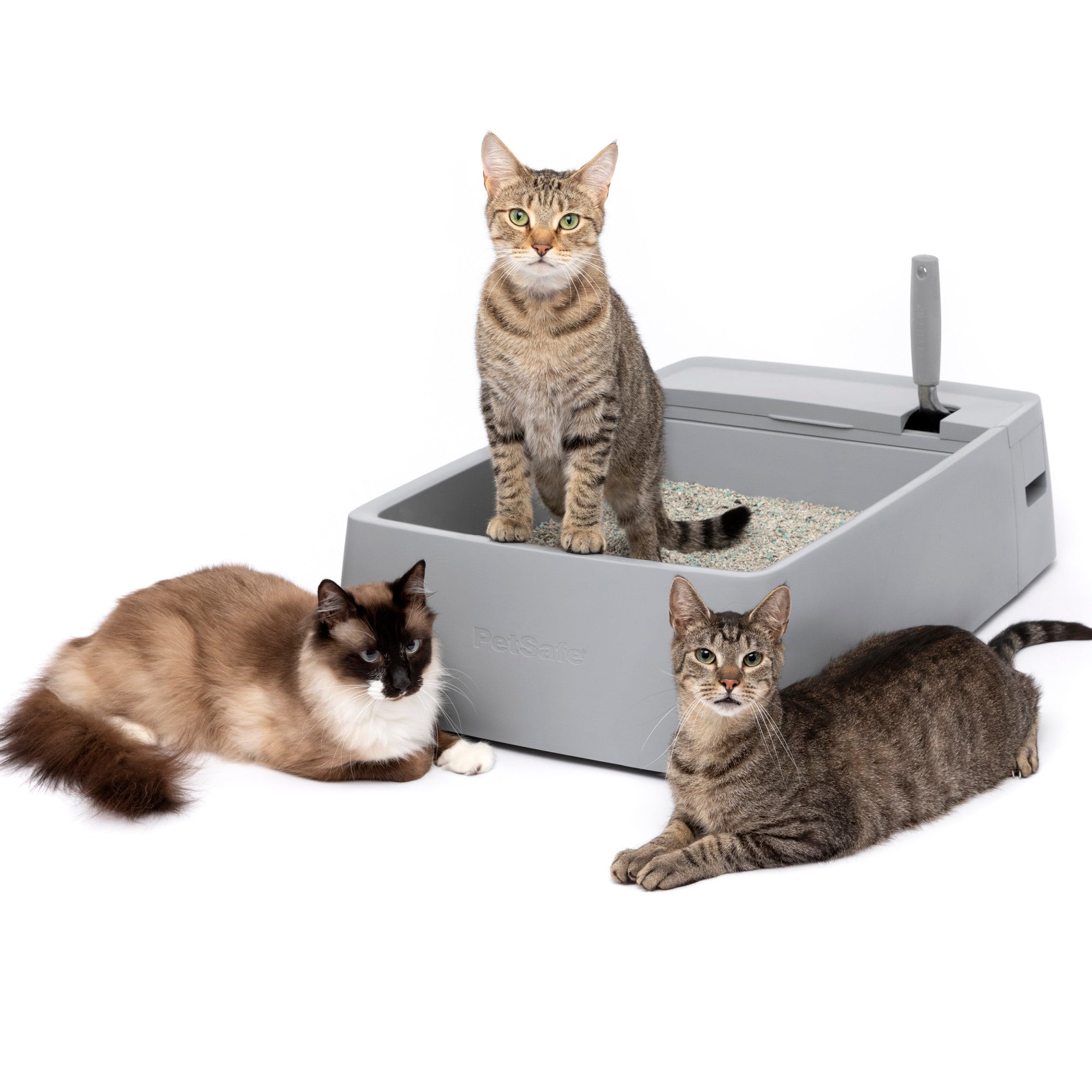 Multi-Cat Arenero Extra Grande para Varios Gatos con Compartimentos para Desechos y Pala Metálica | PetSafe®