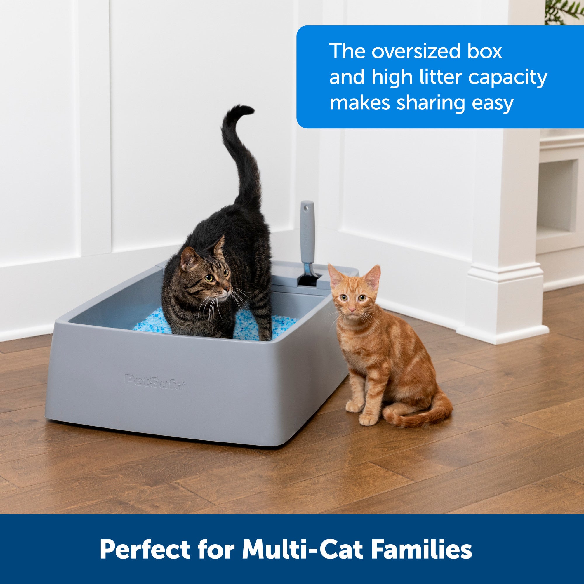 Multi-Cat Arenero Extra Grande para Varios Gatos con Compartimentos para Desechos y Pala Metálica | PetSafe®