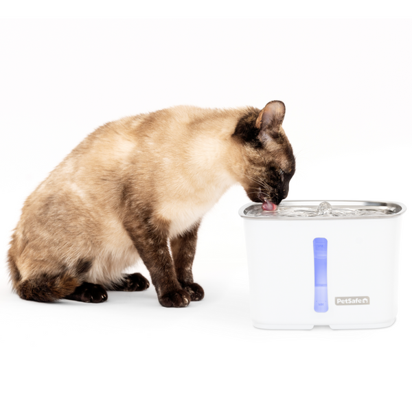 Viva™ Stainless Steel - Fuente de Agua Automática para Gatos