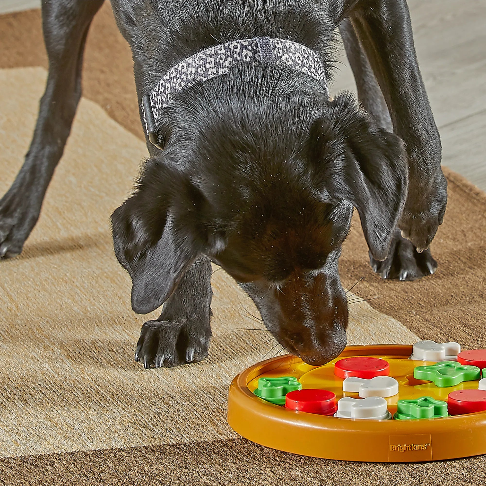 Pizza Party! Treat Puzzle - Juguete Interactivo para Perros | Brightkins®