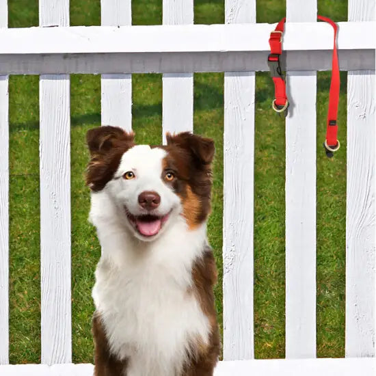 Collar de Seguridad para Perros Rojo - Break-Away Safety KeepSafe®