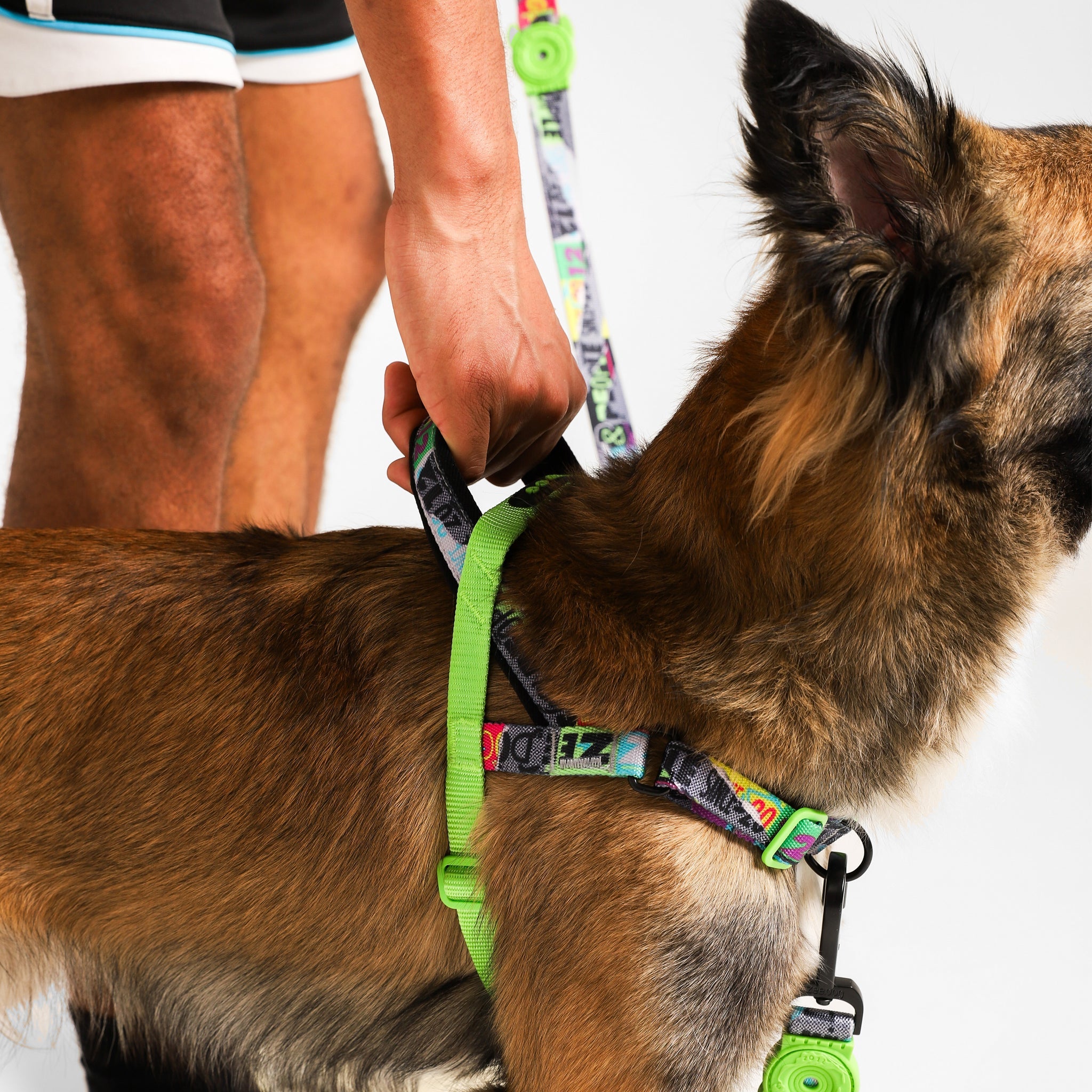 Arnés Anti-Tirones Manifesto - Softer Walk Harness Colección LOZT de Zee.Dog