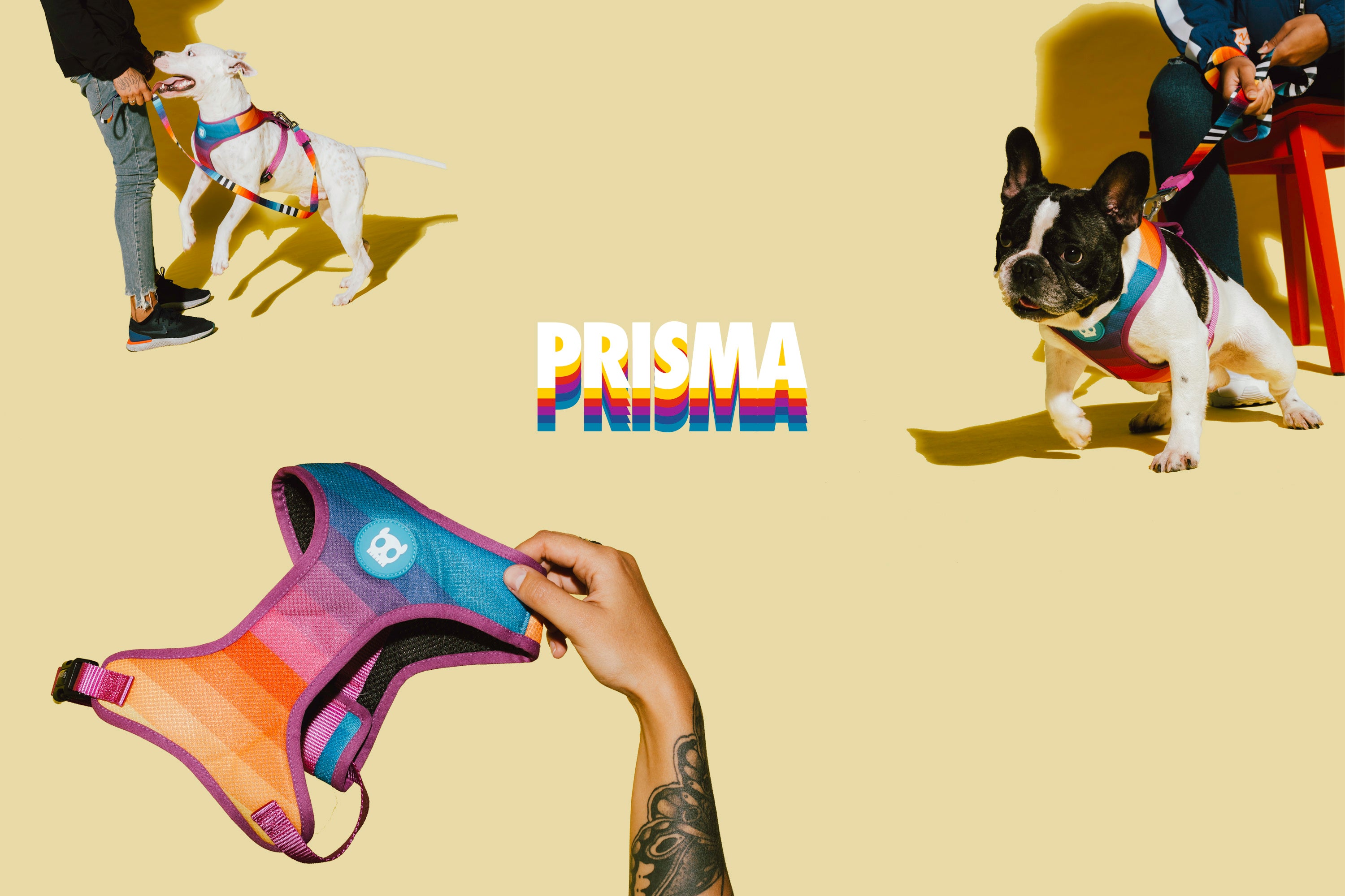 Correa para Perros Prisma - Zee.Dog