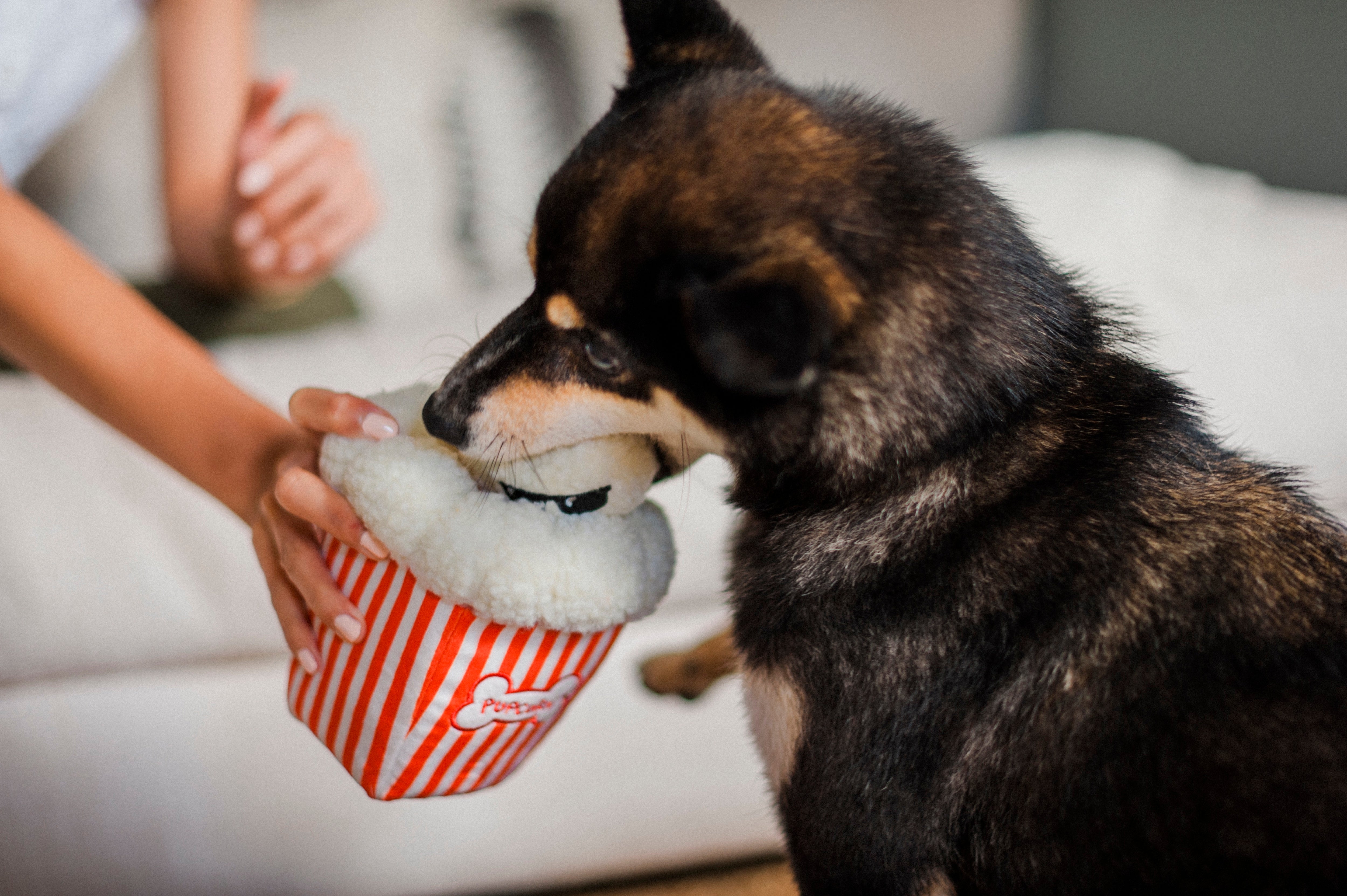 Las Palomitas - Juguete de Peluche para Perros Hollywoof™ | Pet P.L.A.Y.