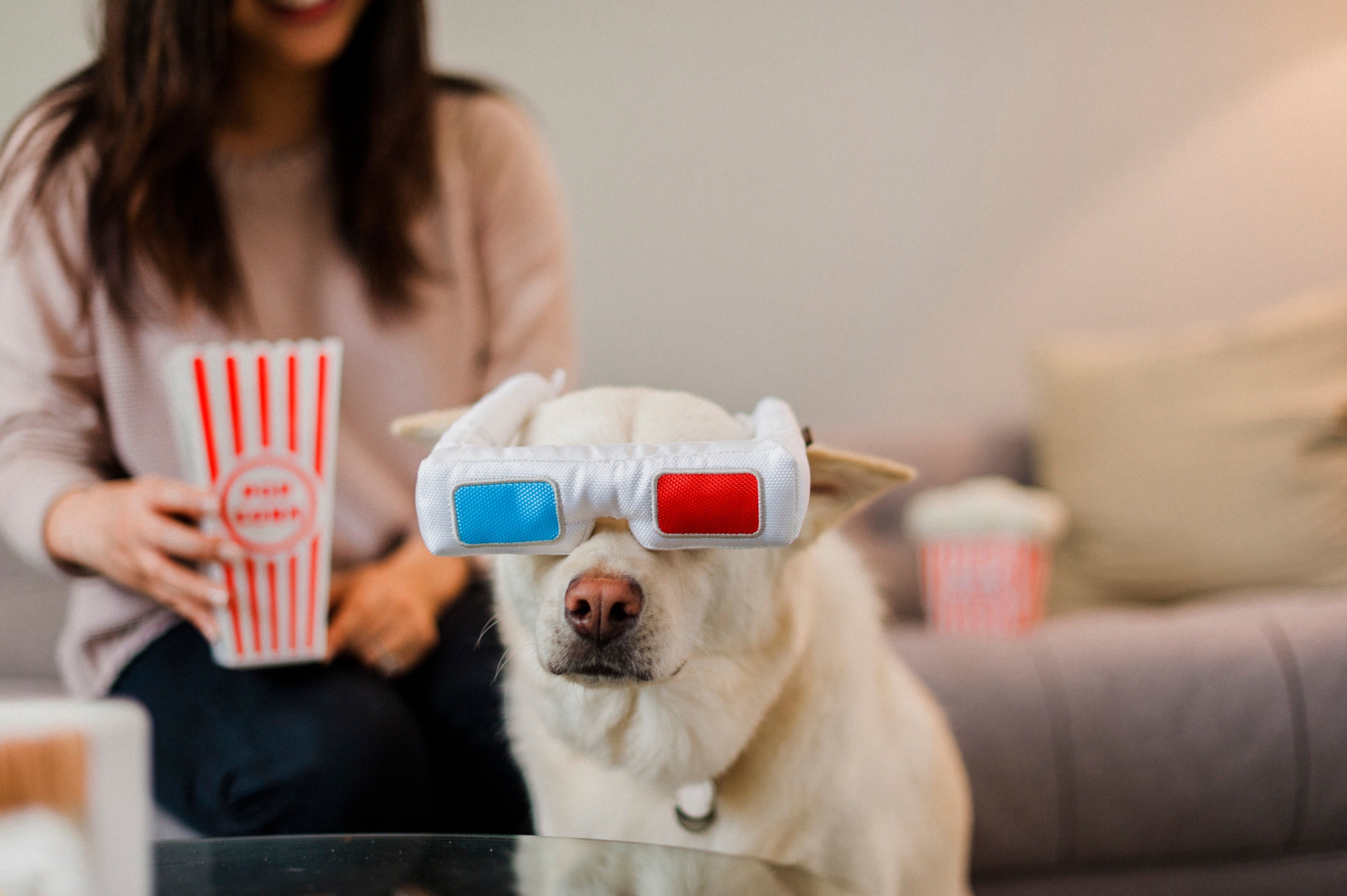 Los Lentes 3D de Cine - Juguete de Peluche para Perros Hollywoof™ | Pet P.L.A.Y.