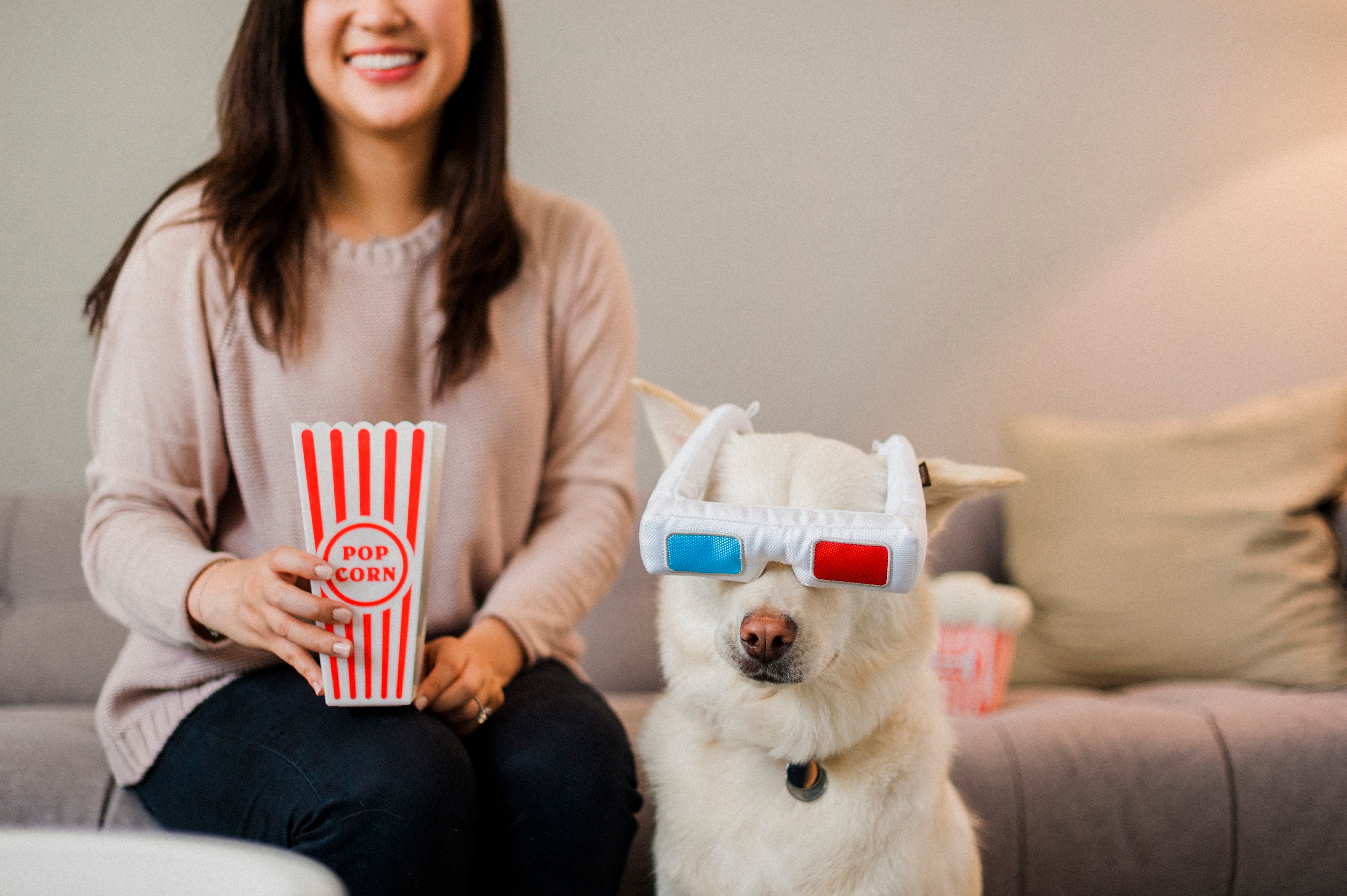 Los Lentes 3D de Cine - Juguete de Peluche para Perros Hollywoof™ | Pet P.L.A.Y.