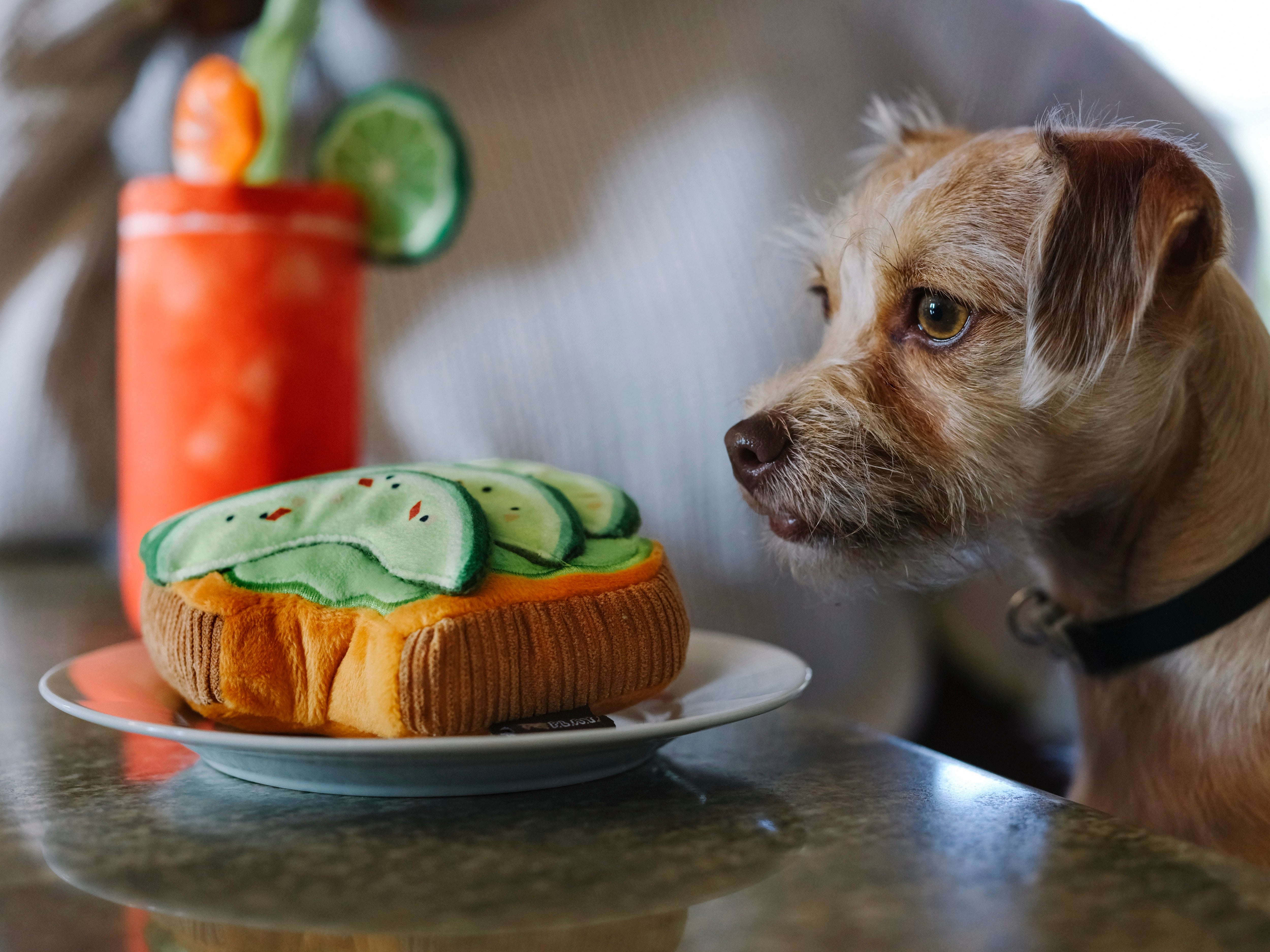 La Tostada de Aguacate - Juguete de Peluche para Perros Barking Brunch™ | Pet P.L.A.Y.