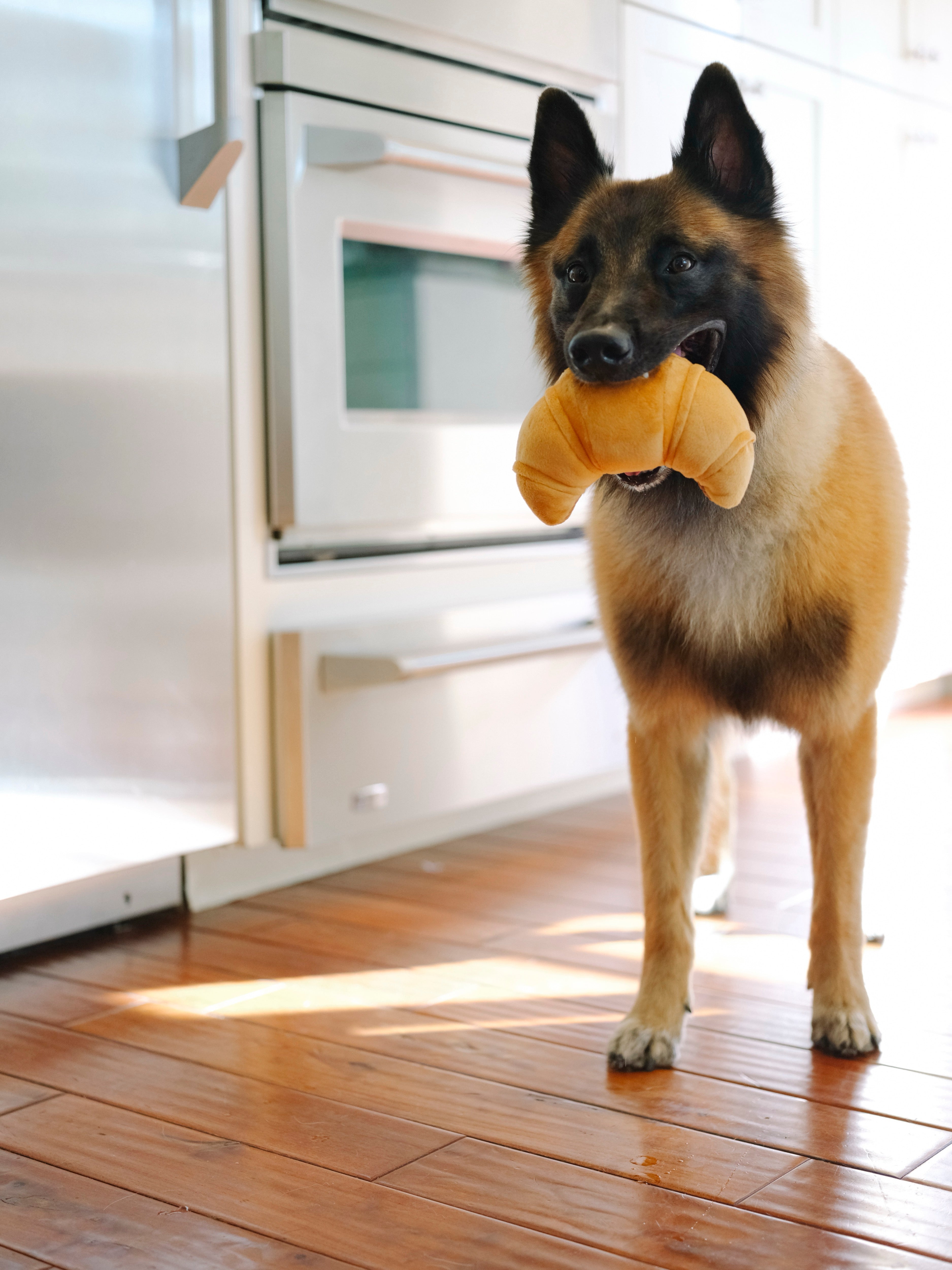 El Croissant - Juguete de Peluche para Perros Barking Brunch™ | Pet P.L.A.Y.