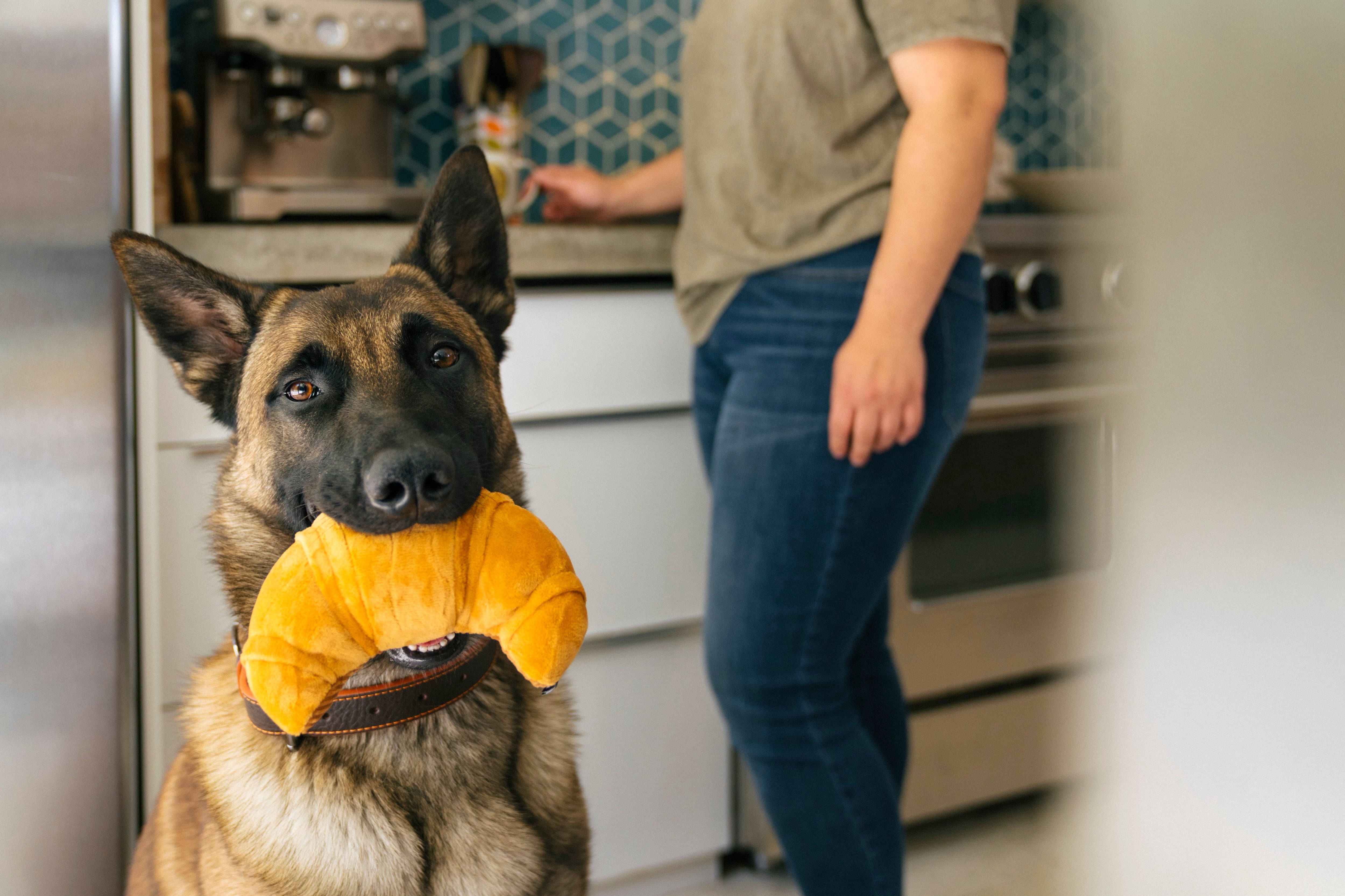 El Croissant - Juguete de Peluche para Perros Barking Brunch™ | Pet P.L.A.Y.