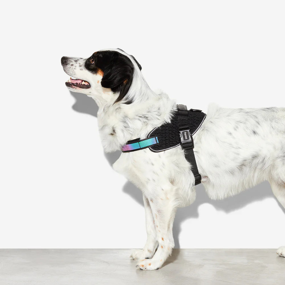 Arnés para Perros Gotham - FlyHarness Zee.Dog