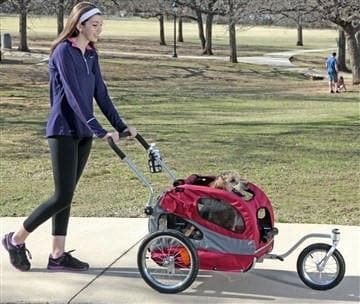 Remolque de bici para llevar a niños - Disfruti