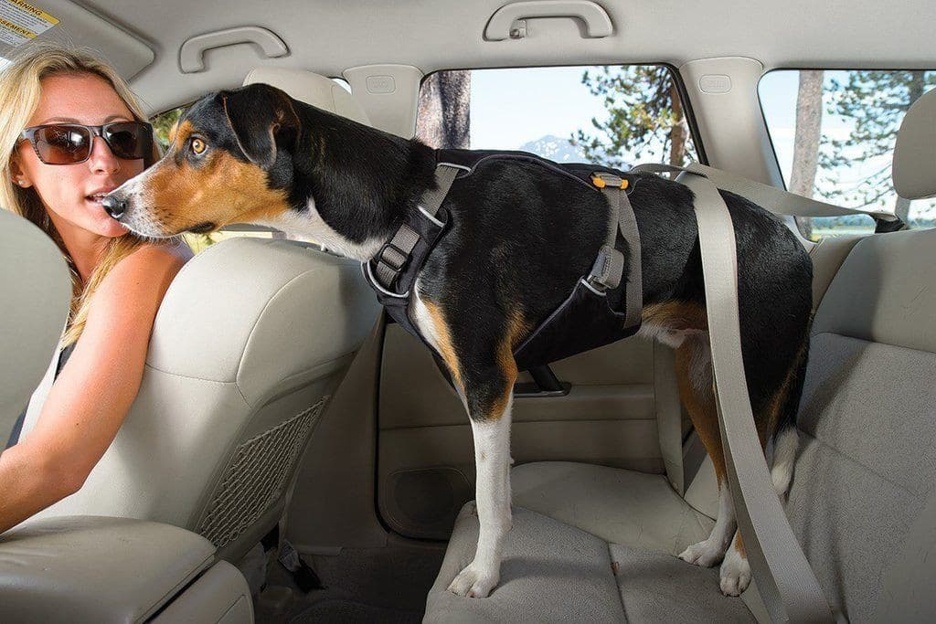 Arn s Para Perros Load Up Harness Ruffwear M xico La Tienda de