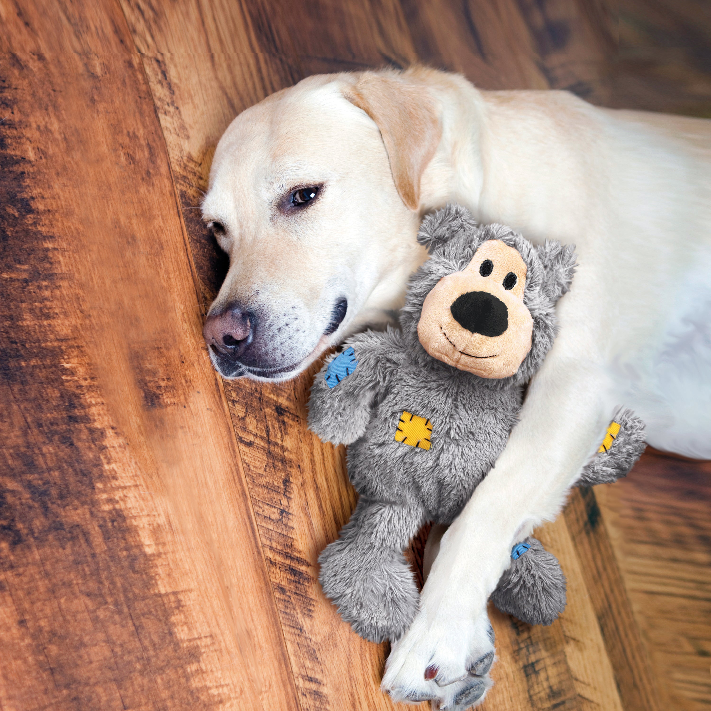 Bark Lover Juguetes de peluche para perros, juguete chirriante interactivo  para todos los perros, pequeños, medianos o grandes, juguetes duraderos con