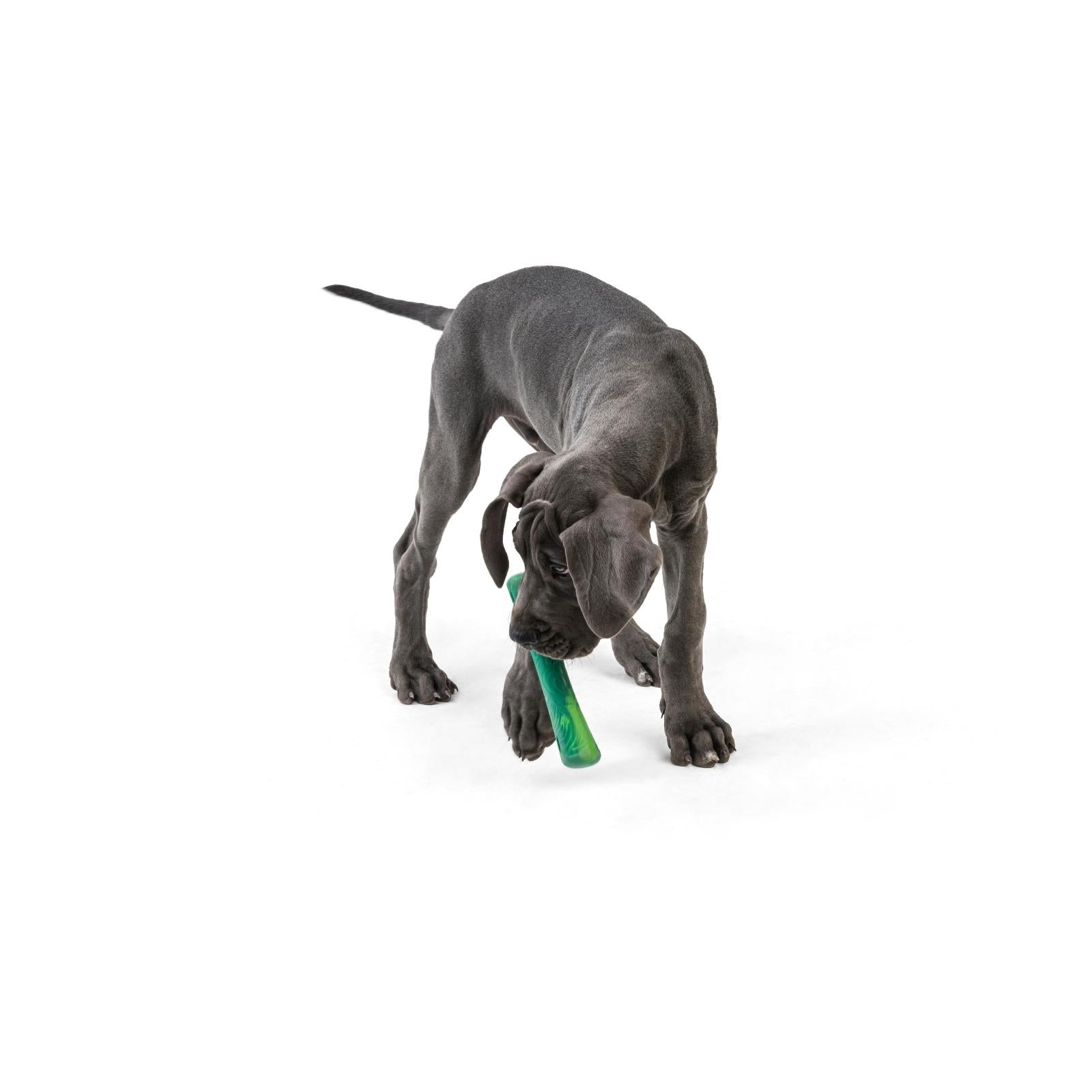 SAILZ de West Paw® color Verde Esmeralda - Frisbee para Perros — La Tienda  de Frida & Chelsee