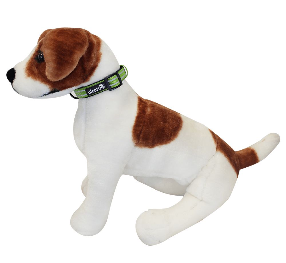 Alcott Adventure Dog Collar Large Green