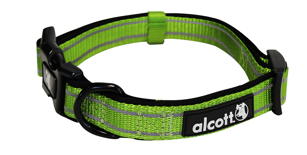 Alcott Adventure Dog Collar Large Green