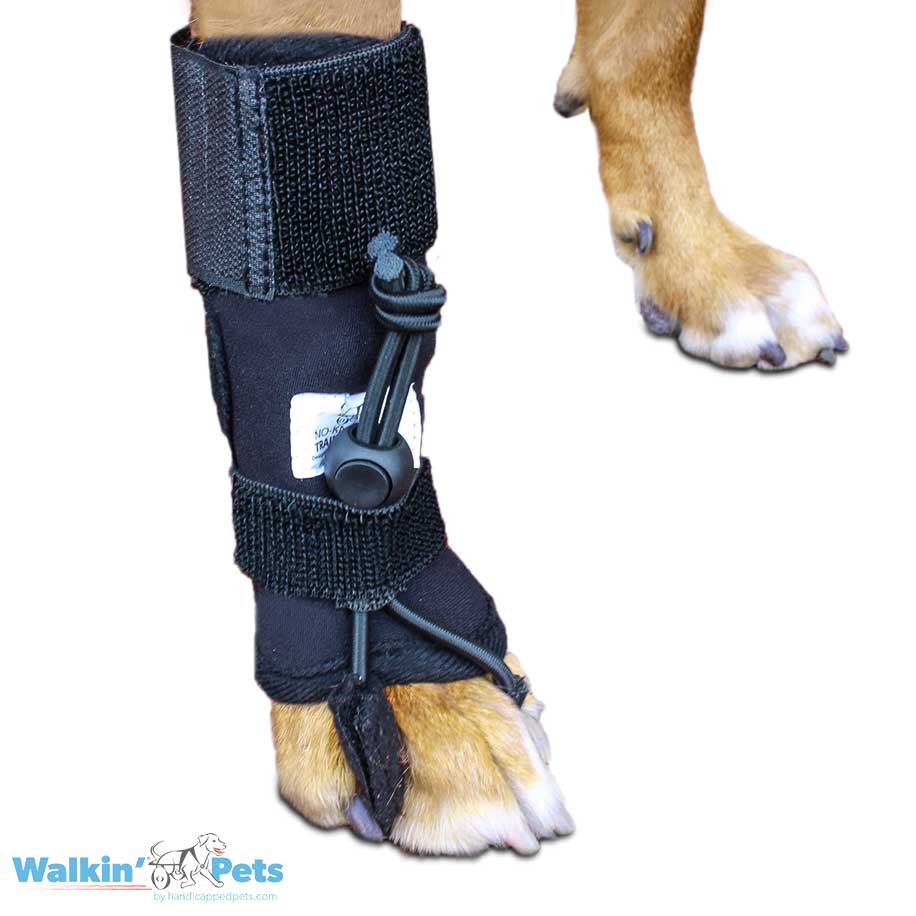 Calcetines Para Perro Walkin' Traction Socks de Walkin' Pets — La Tienda de  Frida & Chelsee