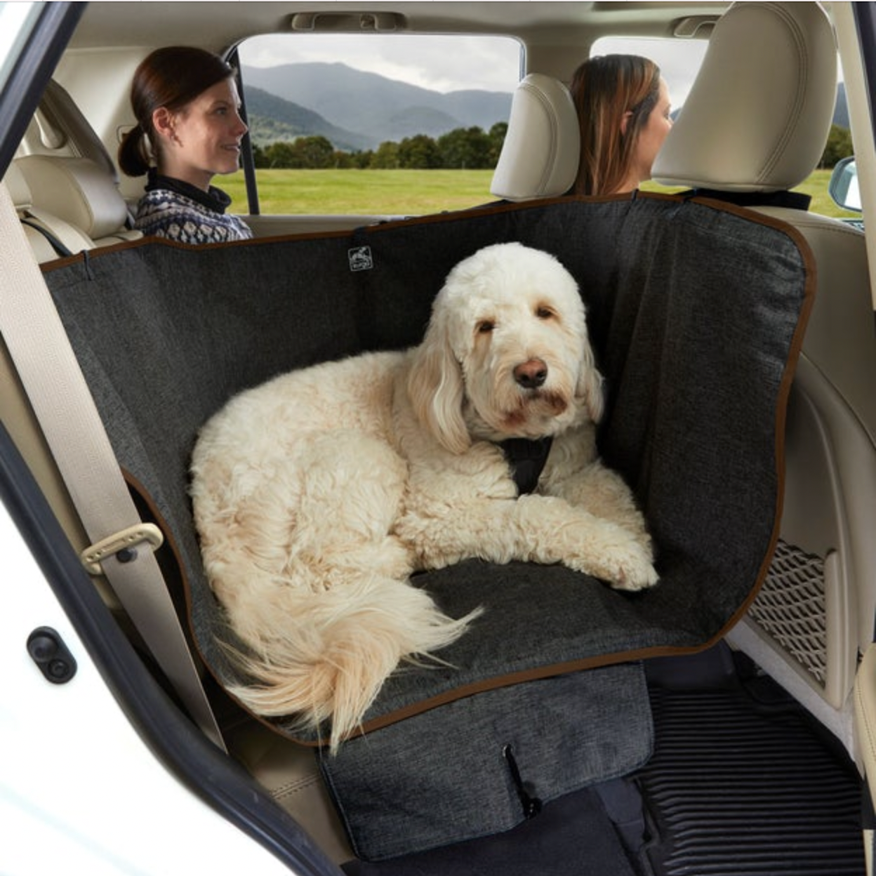 Funda de asiento de coche para perro negra en 1/2 asiento trasero/hamaca  impermeable para coche de perro/cama de viaje para perro/protector de coche  para perros medianos -  México