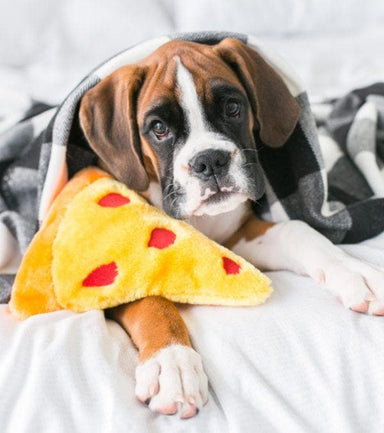 Pizza de Peluche con Squeakers - ZippyPaws NomNomz Pizza