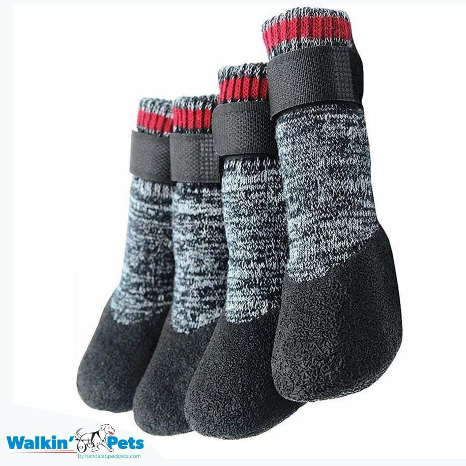 Calcetines para Perro Traction Control Socks Mediano