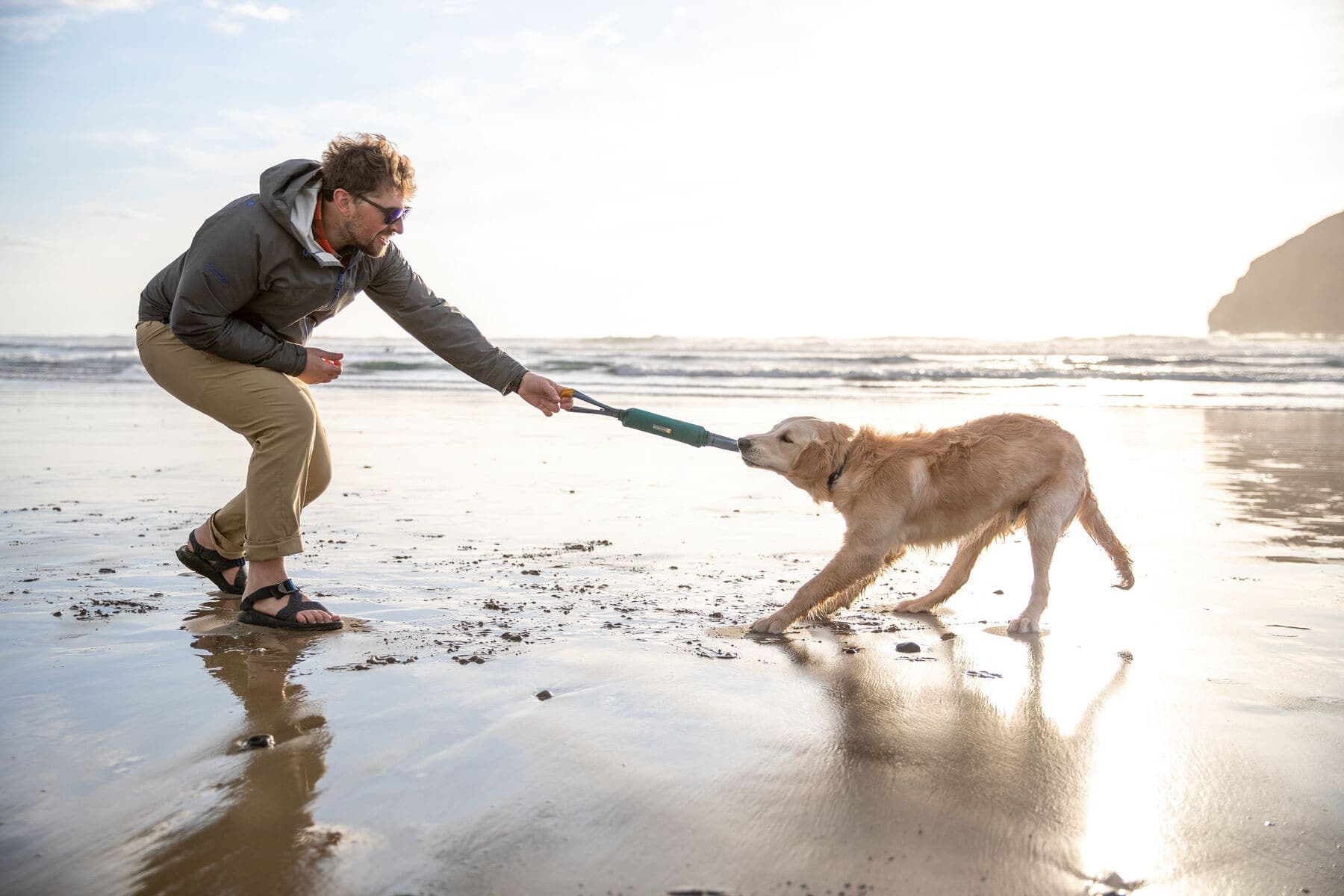 Juguetes Interactivos para Perros: Divierte a Tu Perro Inteligentement