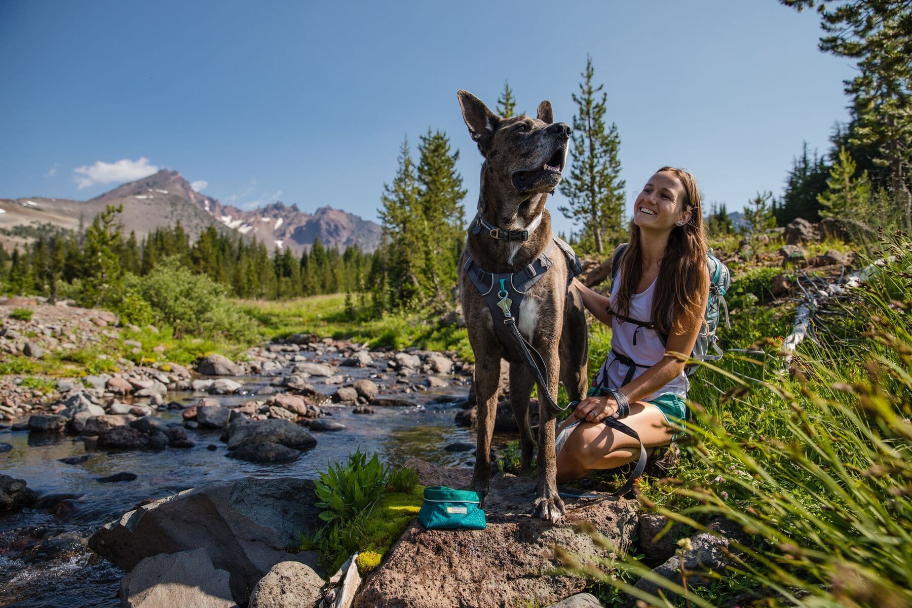 Collar Flat Out en Diseños de Naturaleza Colorado River - Ruffwear Mexico