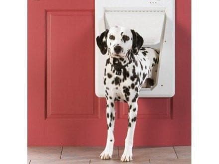 Puerta de Plastico para Perros Modelo Plastic Pet Doors de PetSafe® — La  Tienda de Frida & Chelsee