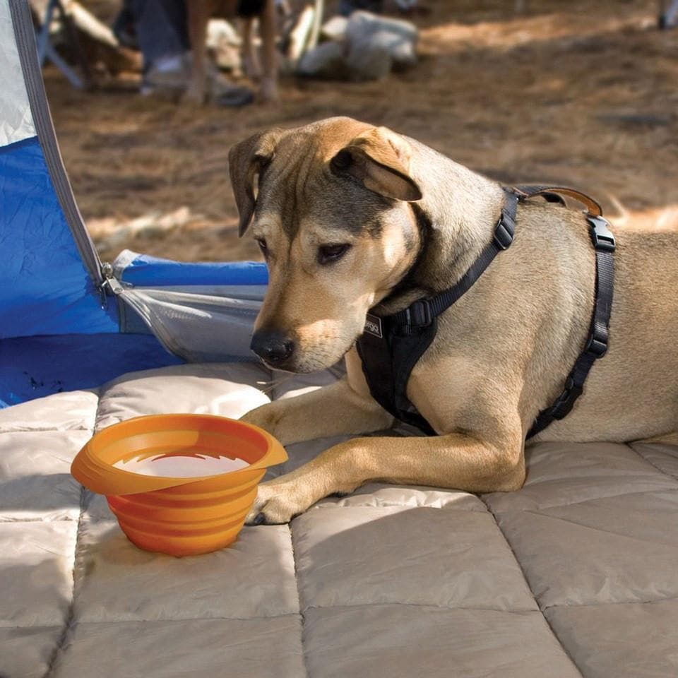 Cuelgabolsos perrito con imán y plegable