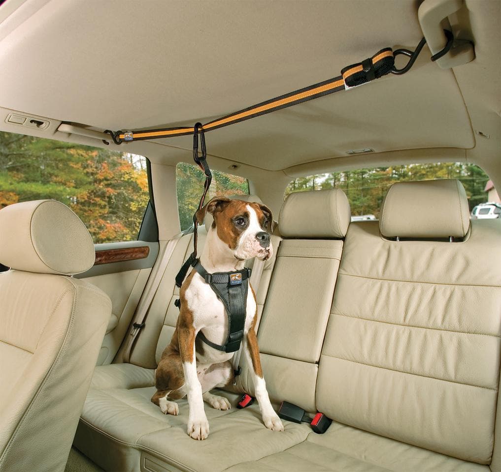 Fancigo Juego de 3 cinturones de seguridad ajustables para perros.  Accesorios de viaje en coche para cachorros/perro/mascotas. Tela de nailon  fuerte