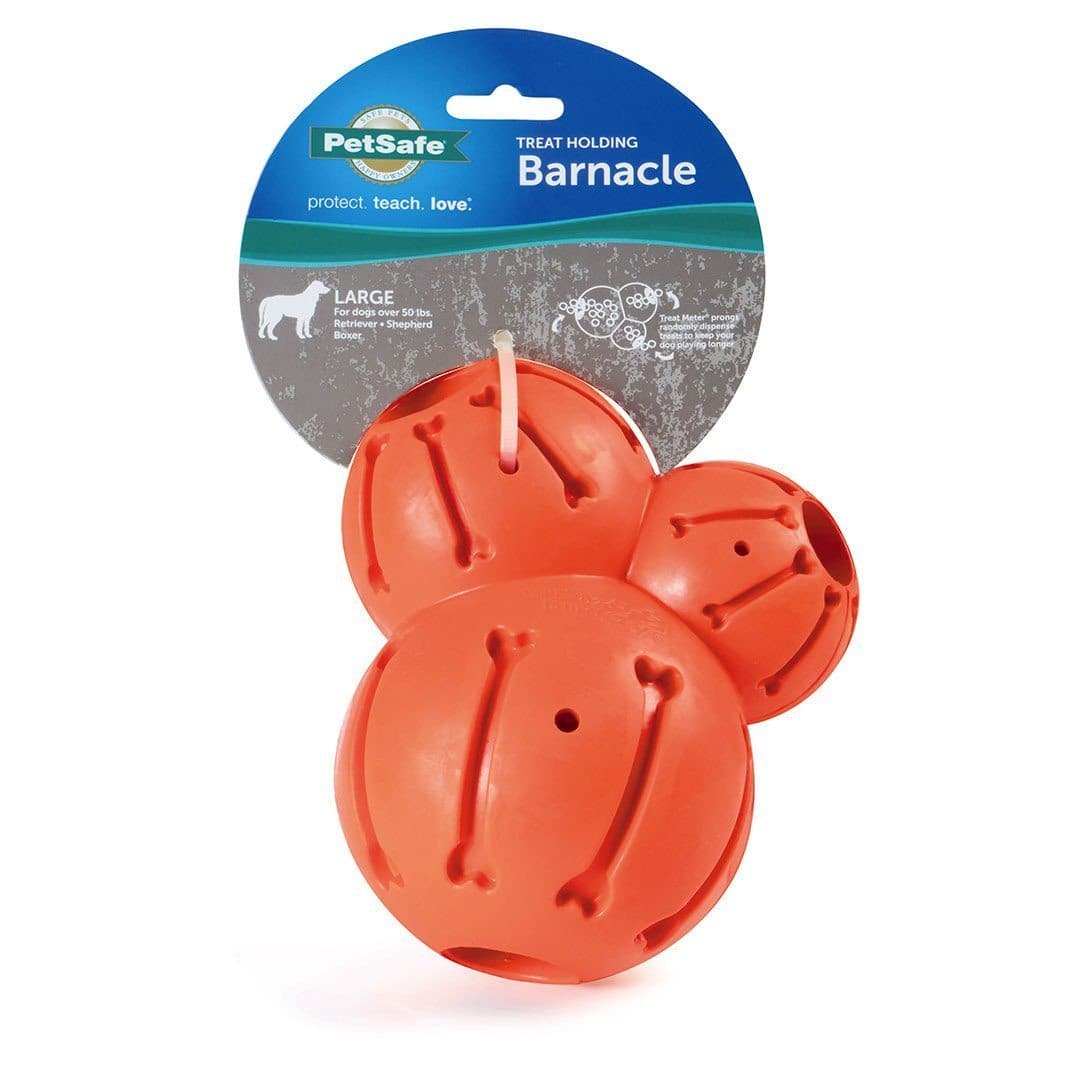 Busy Buddy® Barnacle Dog Toy